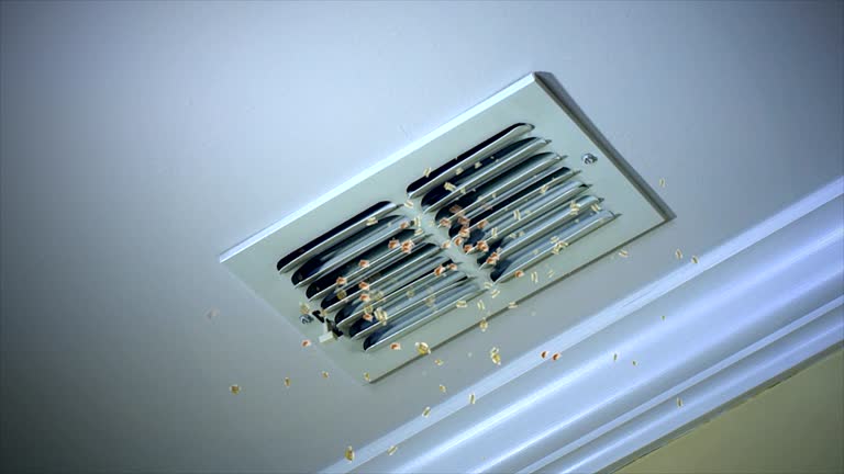 Best Duct Cleaning for Homes  in Bellview, FL