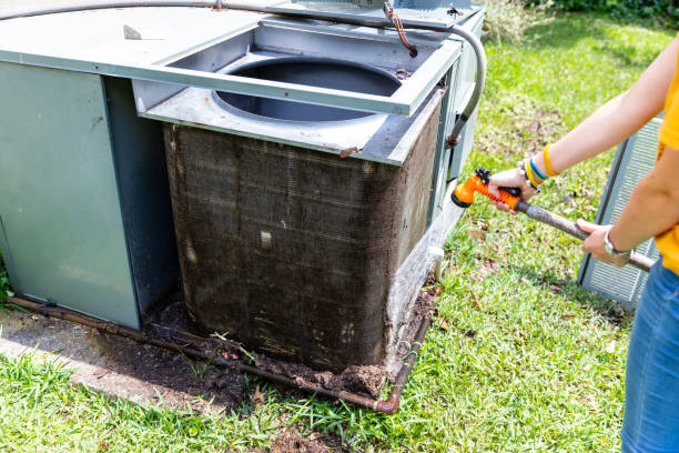 Best Dryer Vent Cleaning Services  in Bellview, FL