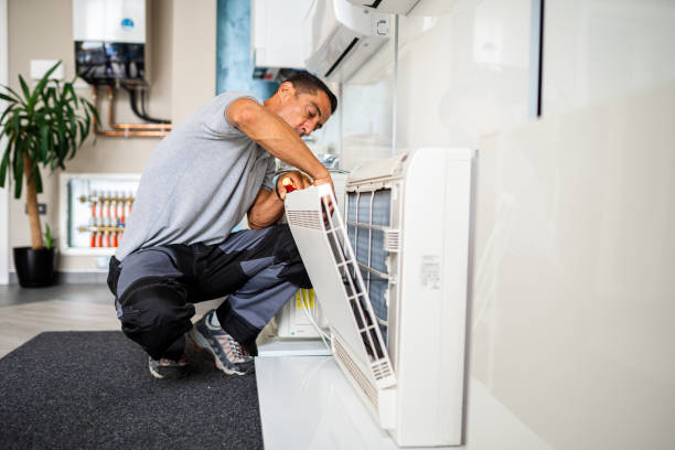 Best Affordable Air Duct Cleaning  in Bellview, FL