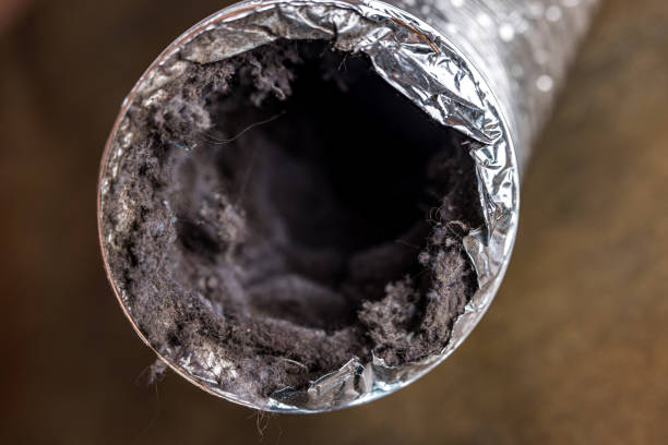 Best HVAC Duct Inspection Services  in Bellview, FL