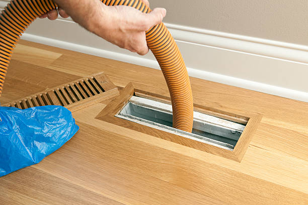 Best Affordable HVAC Duct Cleaning  in Bellview, FL