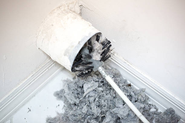 Air Duct Mold Removal in FL