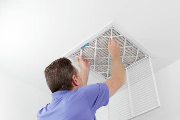 Best Ductwork Cleaning Services  in Bellview, FL